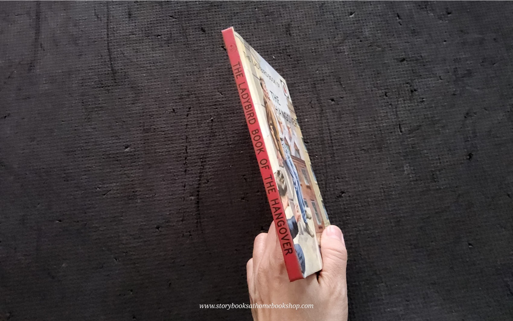 หนังสือนิทานปกแข็ง** 🍅🍓THE LADYBIRD BOOK OF THE HANGOVER