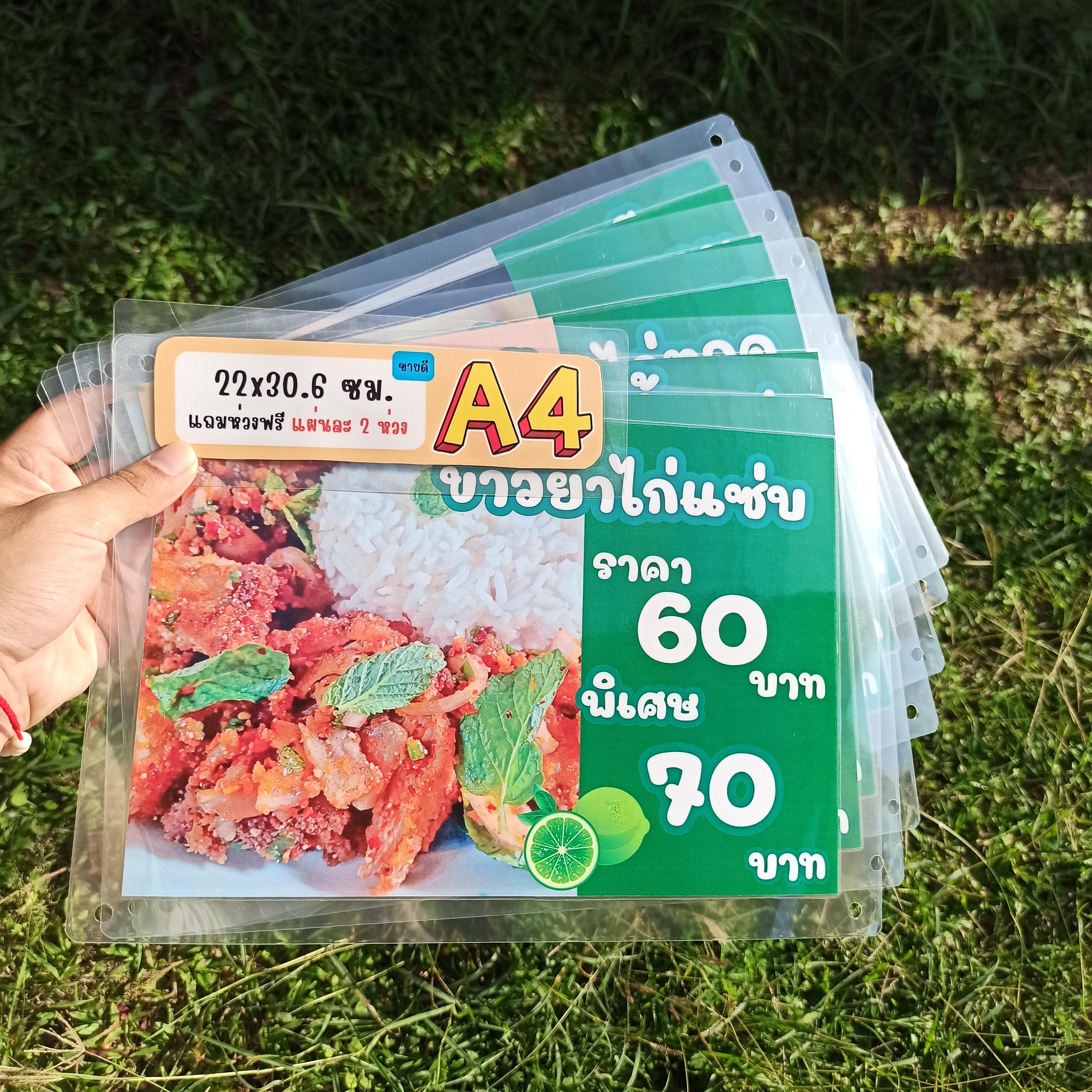 ชุดป้ายเมนู A4 ชุด 7 แผ่น | ข้าวหมูกรอบ, ข้าวหมูแดง, ข้าวไก่ทอด, ข้าวยำหมูกรอบ | เพิ่มยอดขายให้ร้านของคุณทันที! รหัส 3842