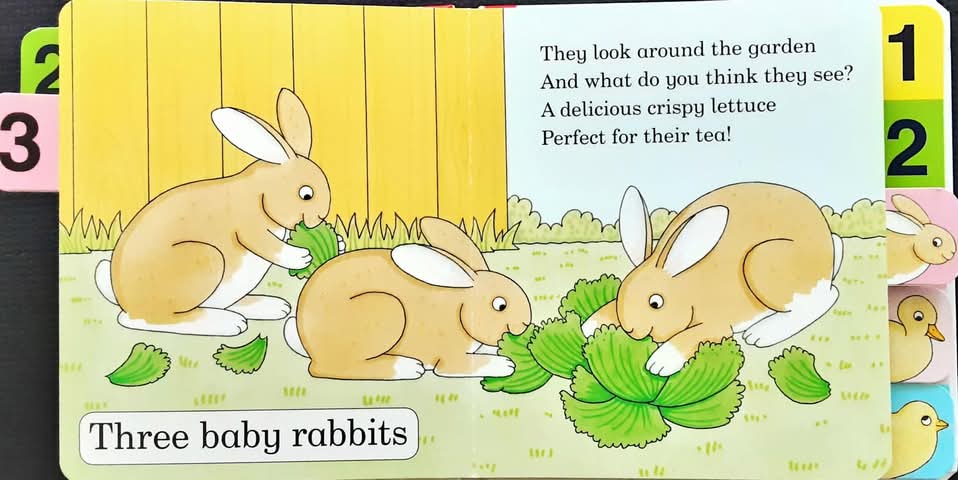 BOARD BOOK** 🍅🍓How Many ?by Rod Campbell