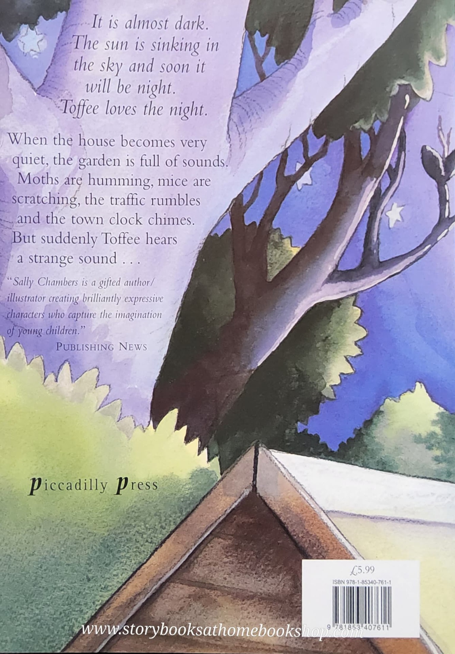 หนังสือนิทานปกอ่อน** ♥️♥️TOFFEE'S NIGHT NOISES BY SALLY CHAMBERS