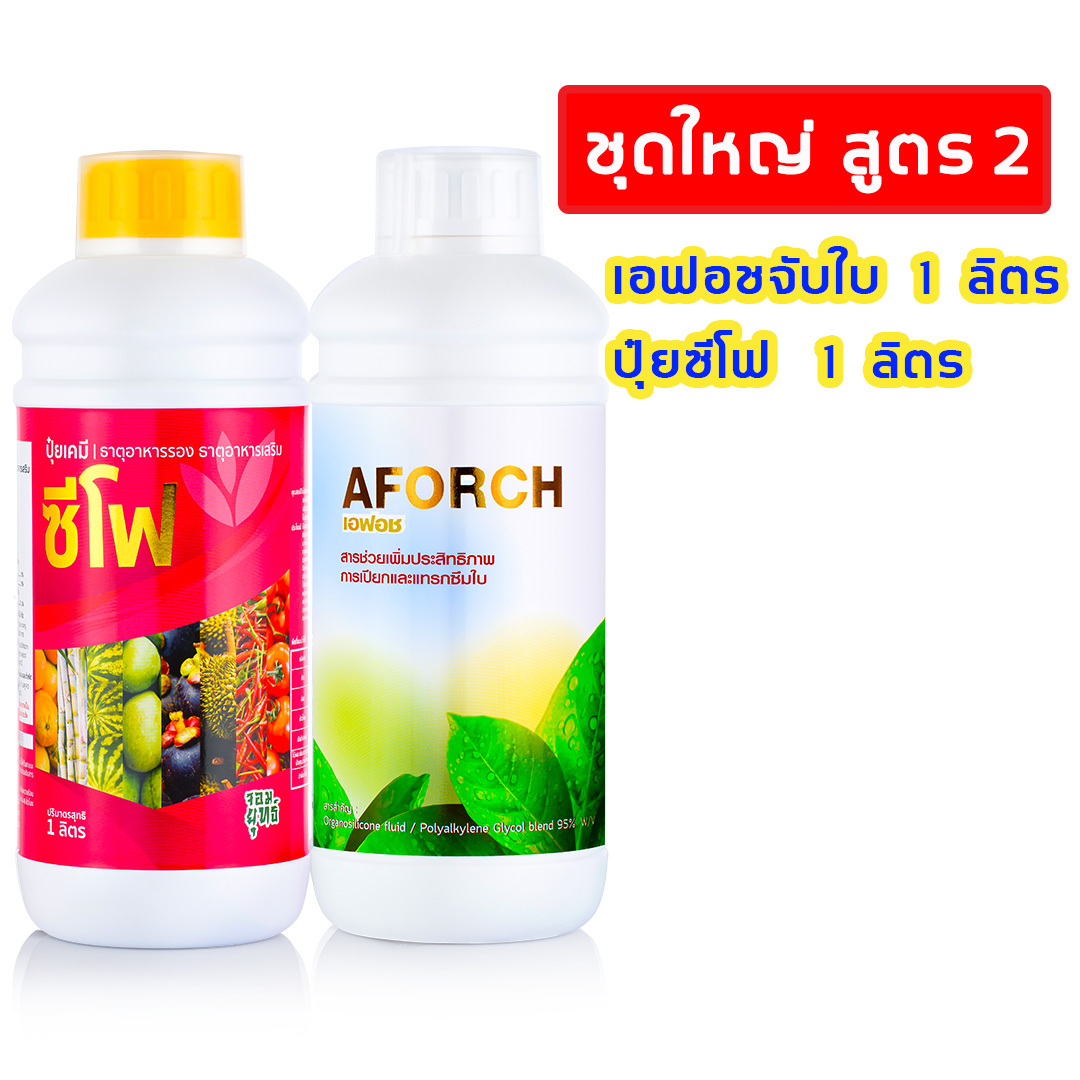 (1แถม1) เอฟอช สารจับใบ เพิ่มน้ำหนักผล ลูกใหญ่ ขั้วเหนียว ผลไม่แตก เอฟอช+ซีโฟ ชุดใหญ่