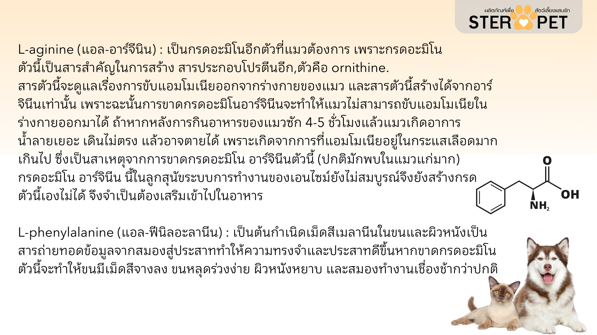 เซตทดลอง สเตอร์ เพ็ท Ster Pet เนื้องอกหมาแมว ก้อนเนื้อหมาแมว มะเร็งสุนัขแมว ลดอักเสบ ลดขนาดก้อนเนื้อ เบื่ออาหาร น้ำหนักลด ไตวายหมาแมว แผลยุบเร็ว ( 15 แคปซูล)