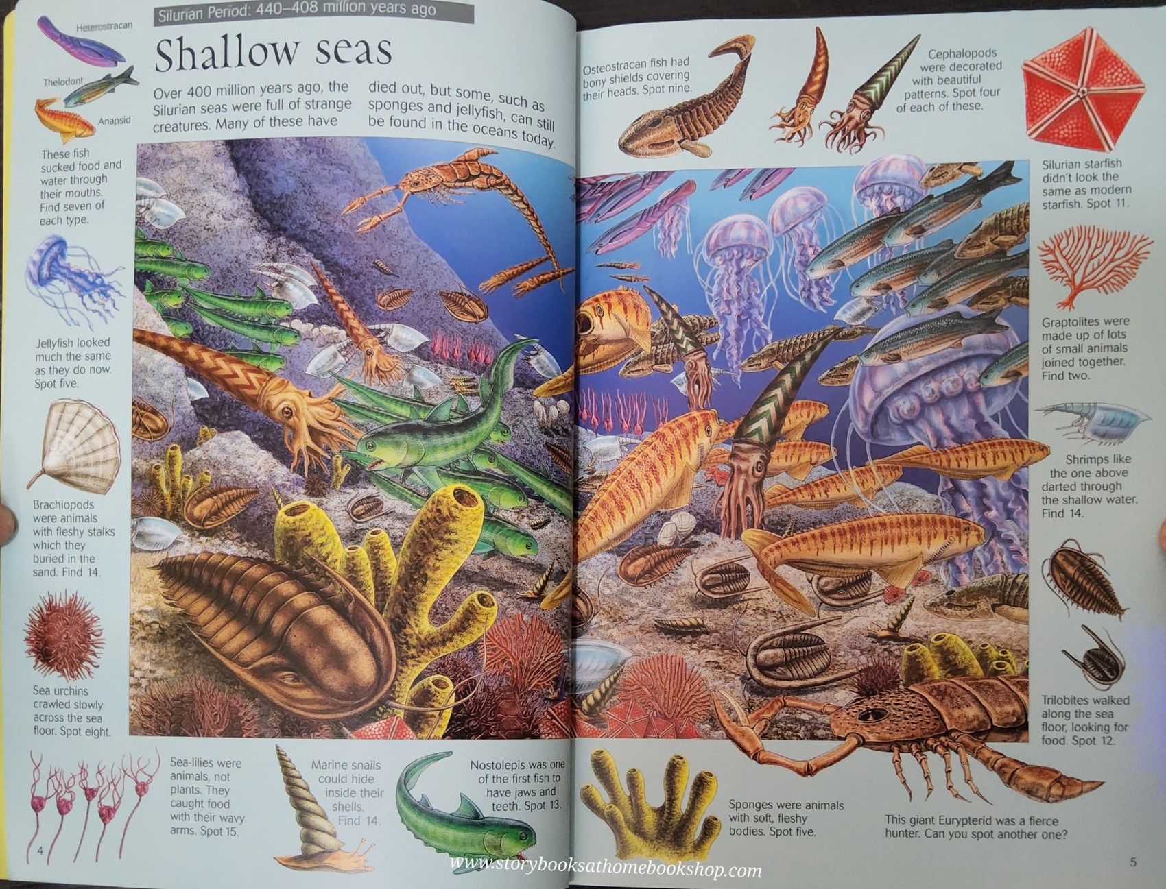 PUZZLE BOOK** ð
USBORNE THE GREAT DINOSAUR SEARCH