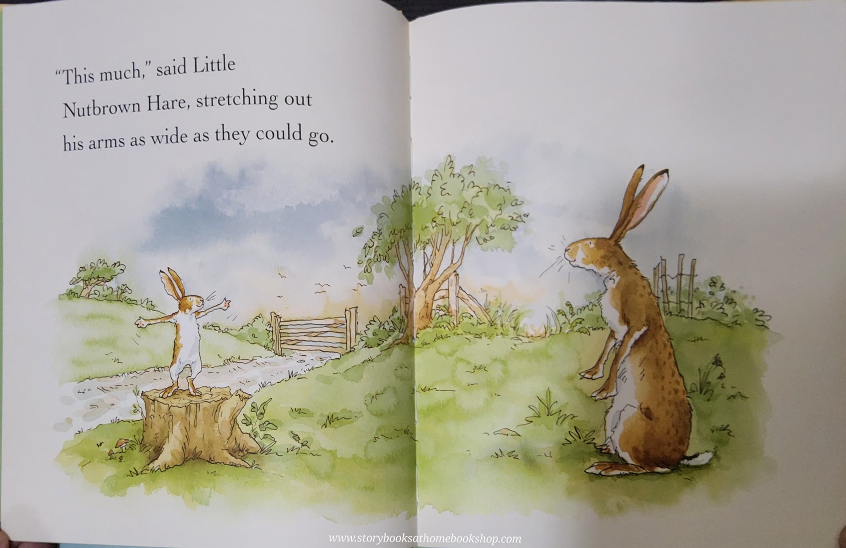 หนังสือนิทานปกแข็ง** 🍅🍓GUESS HOW MUCH I LOVE YOU IN THE AUTUMN with DVD BOTSET