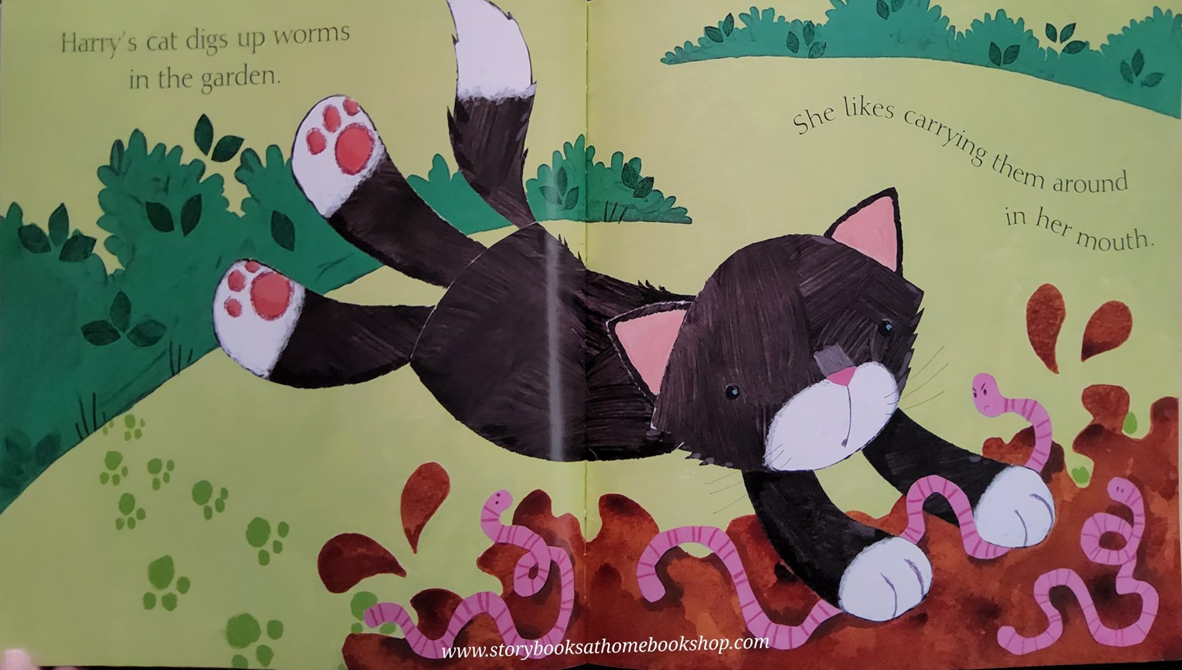 หนังสือนิทานปกอ่อน** 🍅MY CAT JUST SLEEPS BY JOANNE PARTIS
