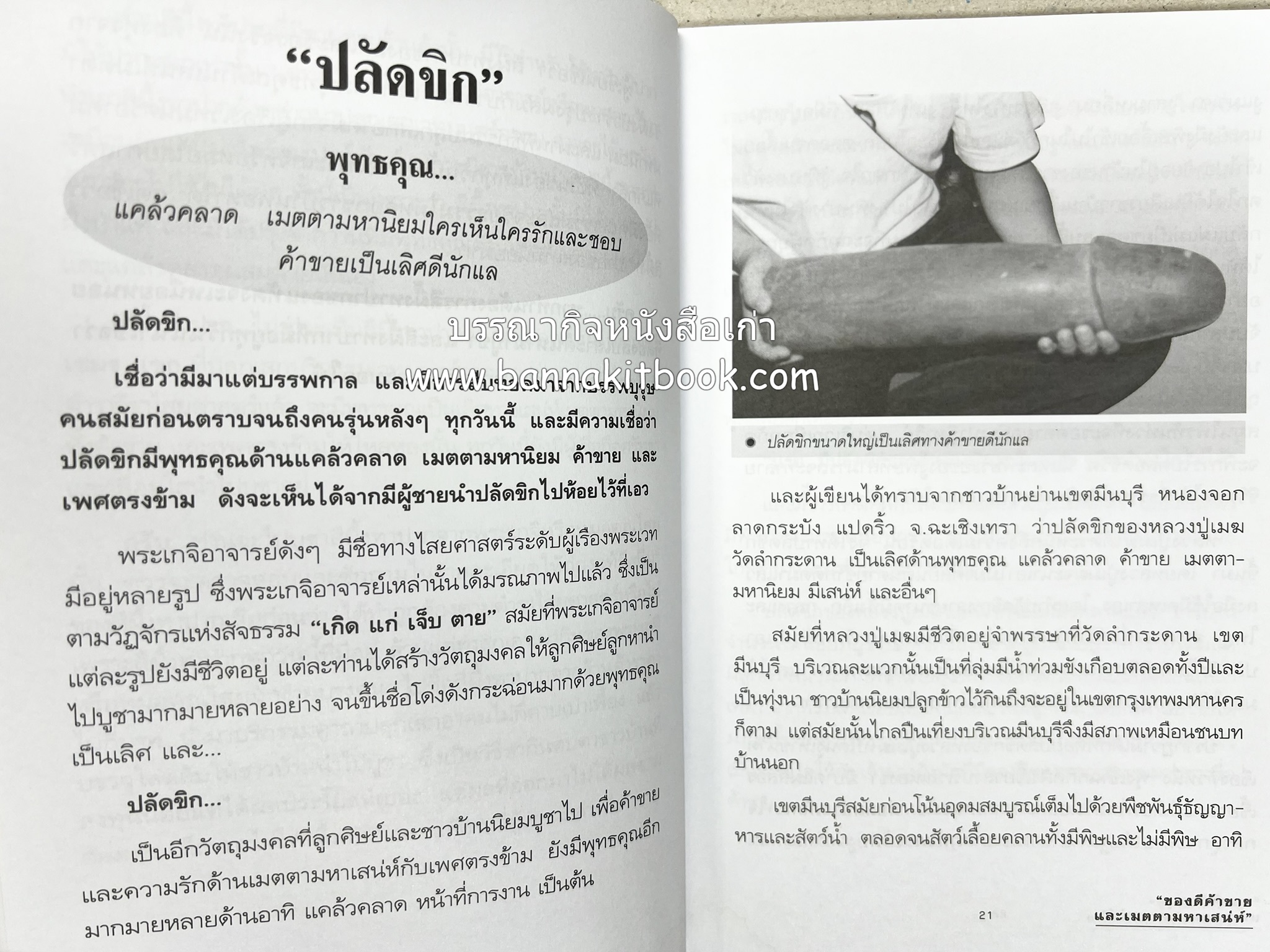 ของดีค้าขาย และเมตตามหาเสน่ห์ โดย : อาจารย์แปลก พรานนก.