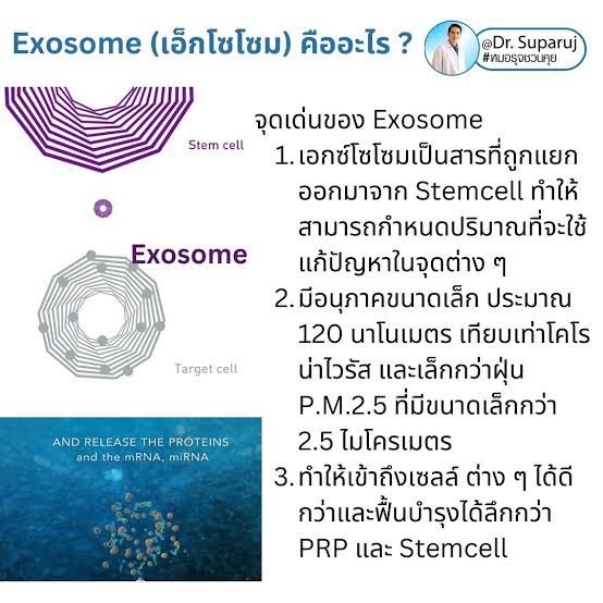 Asce Exosome 1 ขวด เอ็กโซโซม ช่วยดูแลผมร่วงผมบาง Exosome Therapy for Hair Loss