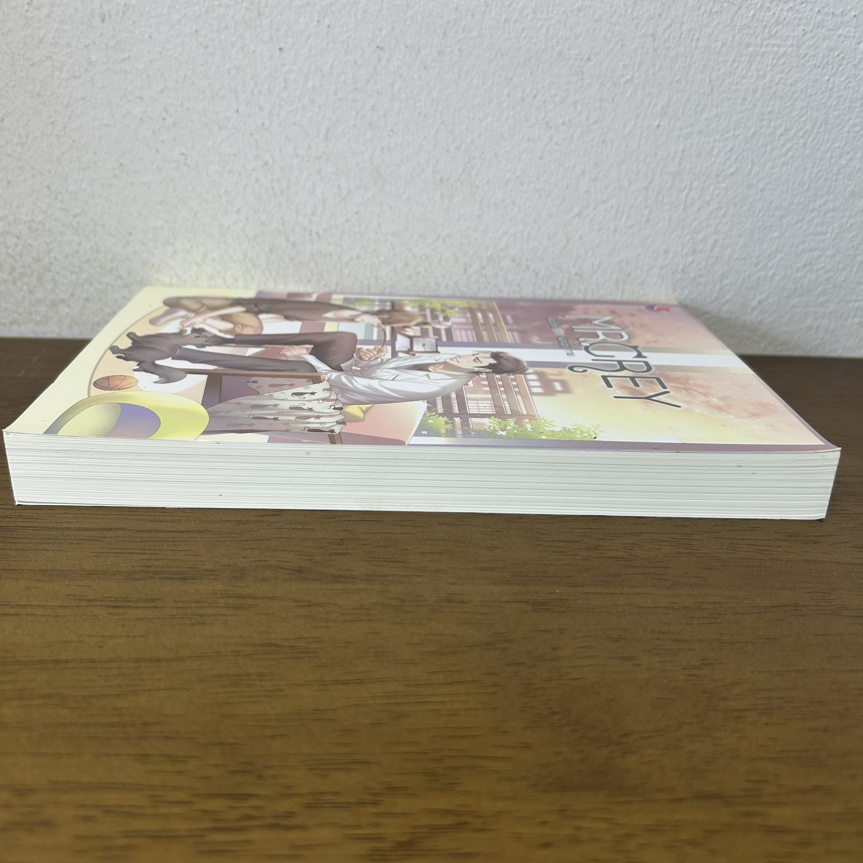 [YAOI] MR. GREY ... Raccool (มือสอง) นิยายวาย everY