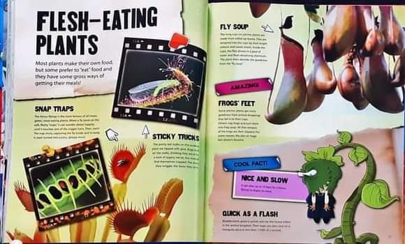 Knowledge Book** ð
ðGRUESOME AND FROSS FACTS over 1000 AMAZING FACTS