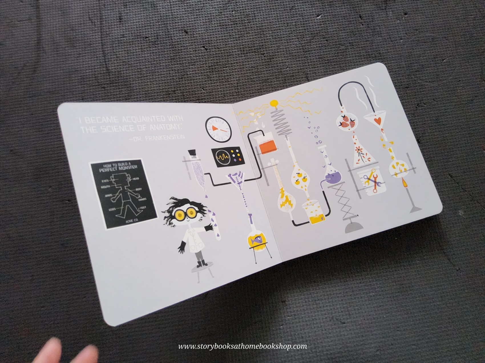 BOARD BOOK ** ♥️♥️AN ANATOMY PRIMER FRANKENSTEIN