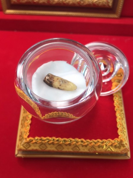 ทันตธาตุครูบาสุรินทร์ วัดศรีเตี้ย จ.ลำพูน