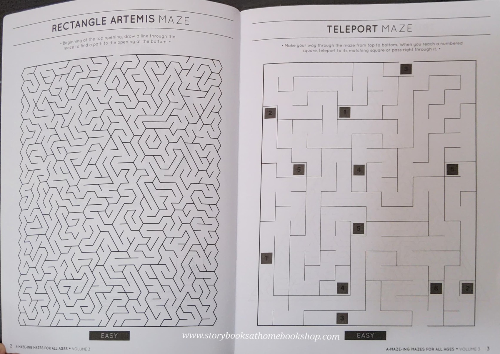 ACTIVITY BOOK** 🍅🍓A MAZE ING MAZES FOR ALL AGES (VOL3-4)
