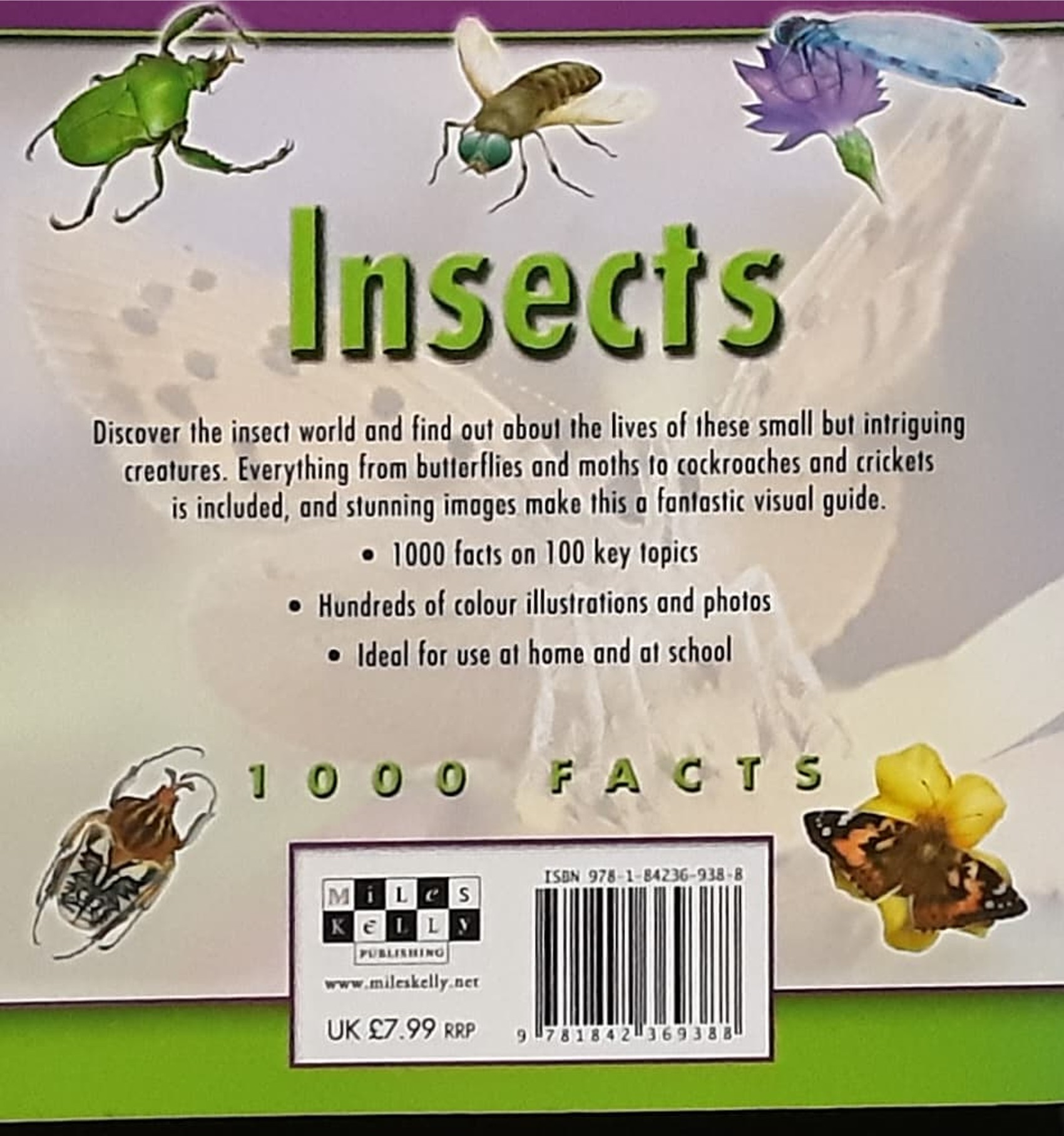 KNOWLEDGE BOOK 🍓🍓 INSECTS 1000 FACTS