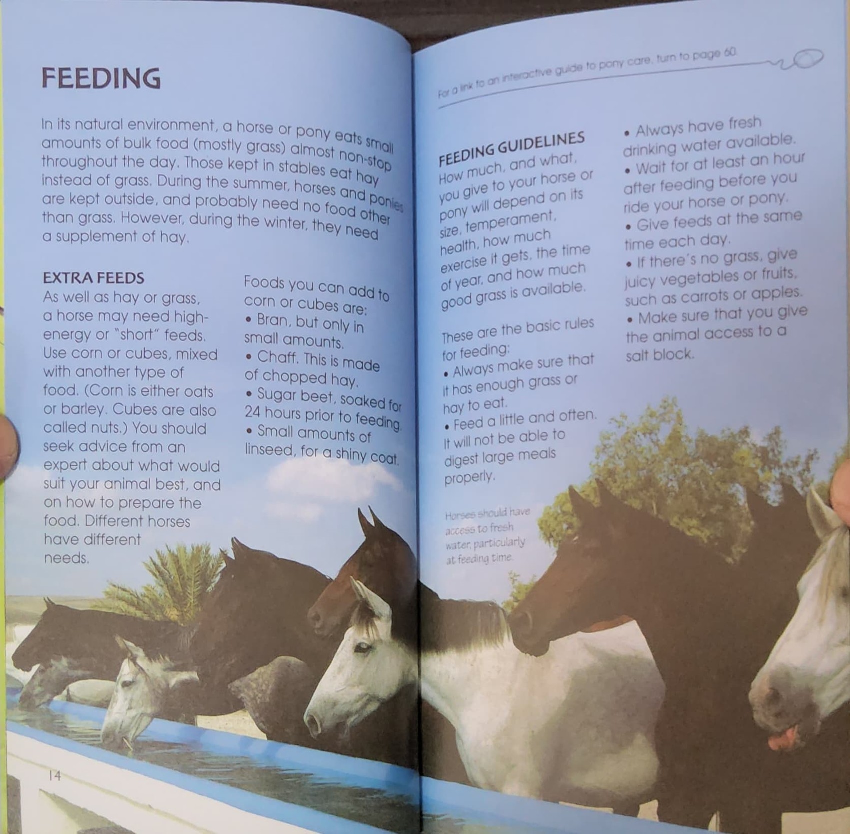 KNOWLEDGE BOOK** ð
ð
Usborne Spotter's Guide: HORSES&PONIES