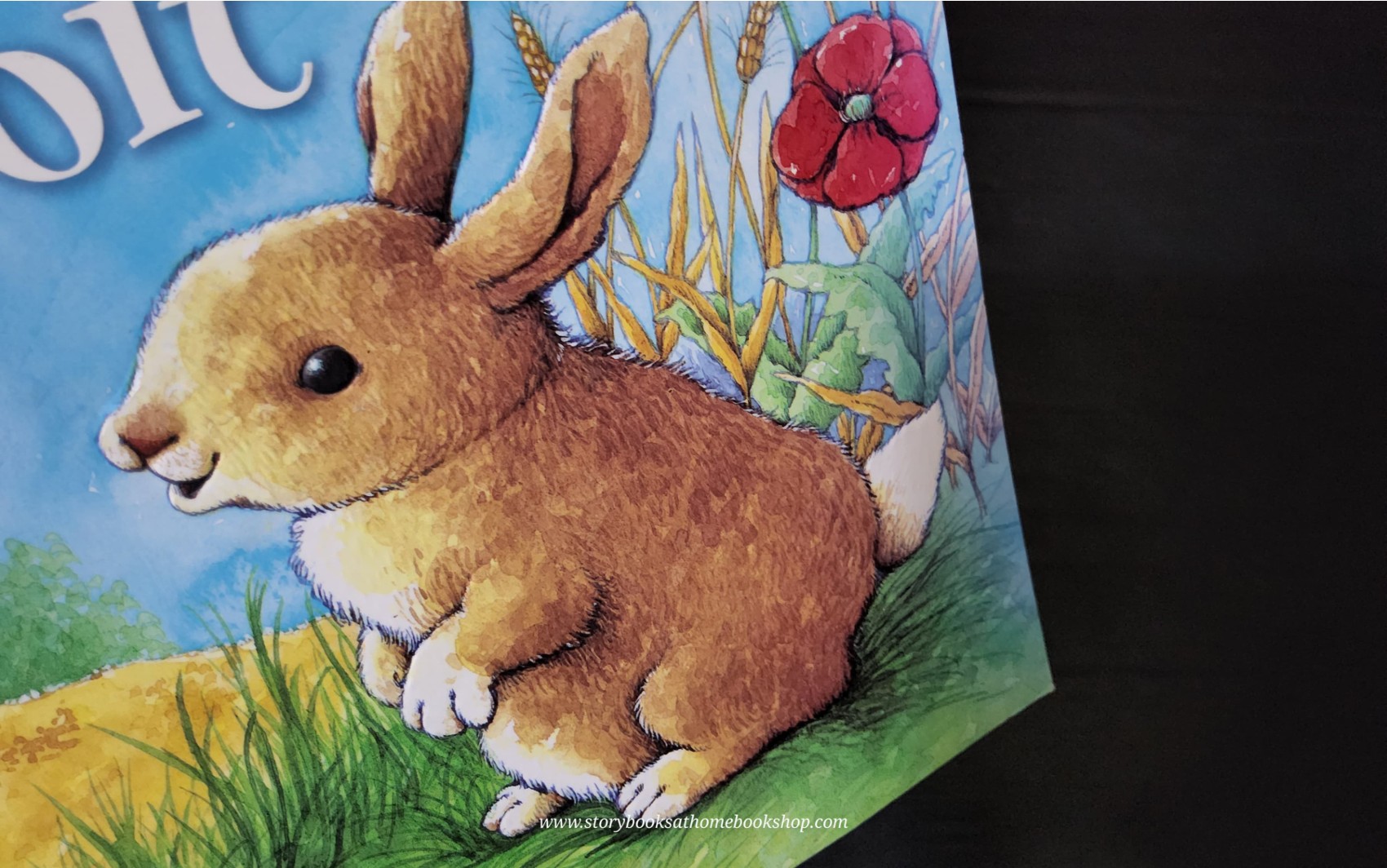 หนังสือนิทานปกอ่อน** 🍅🍓LITTLE RABBIT BY PIERS HARPER