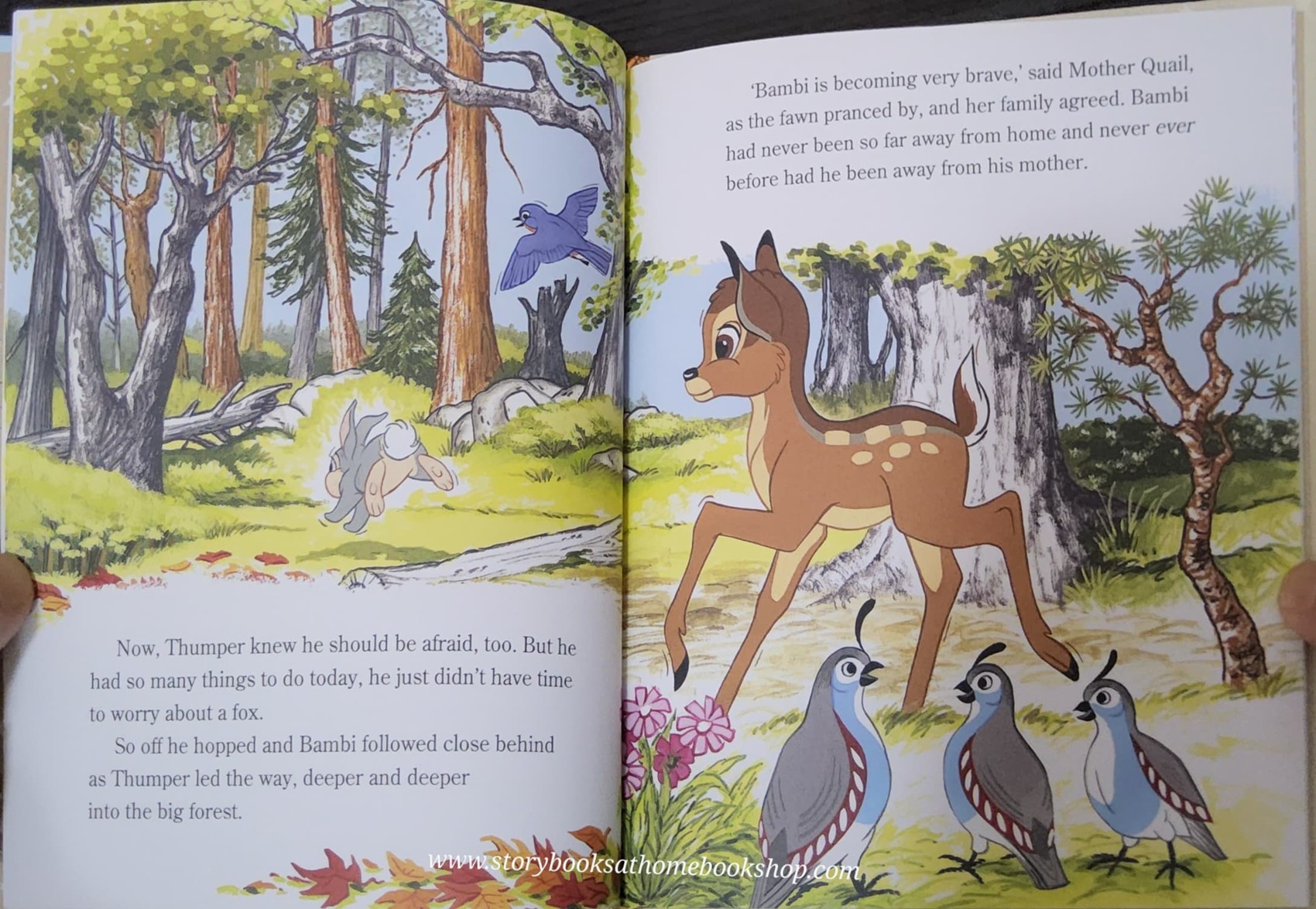 หนังสือนิทานปกแข็ง** 🍅🍓TREASURE COVE STORY:WALT DISNEY'S BAMBI FRIEND OF THE FOREST