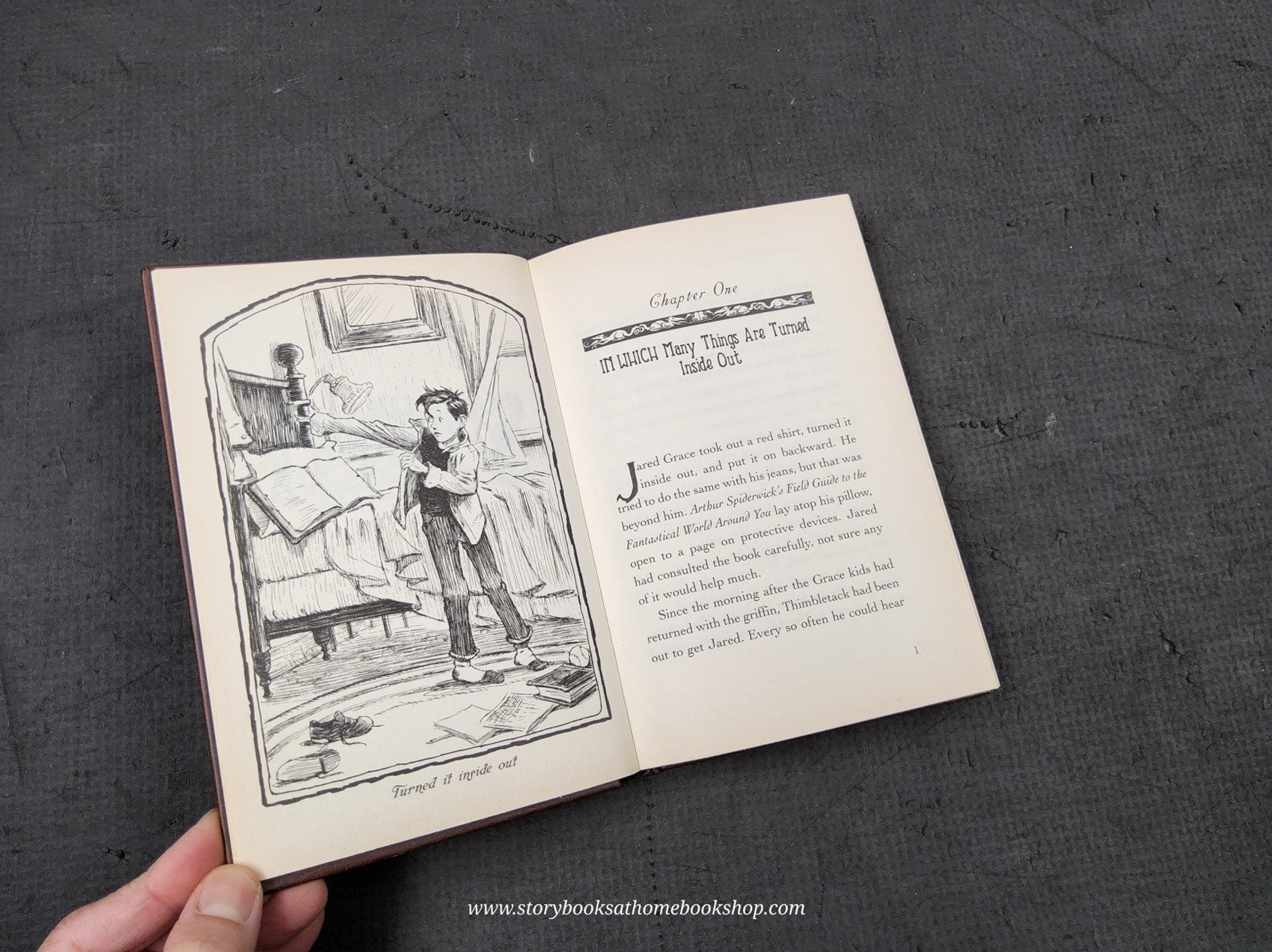 วรรณกรรมเยาวชน** 🍅🍓THE SPIDERWICK CHRONICLES BOOK3 LUCINDA'S SECRET