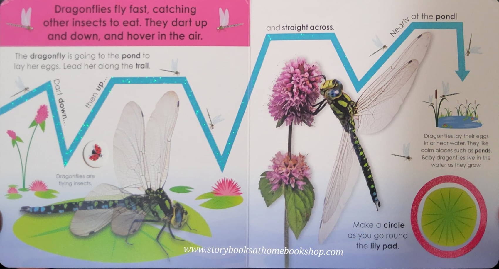 FUN FINGER TRAILS BOARD BOOK** ♥️FOLLOW THE TRAIL MINIBEASTS