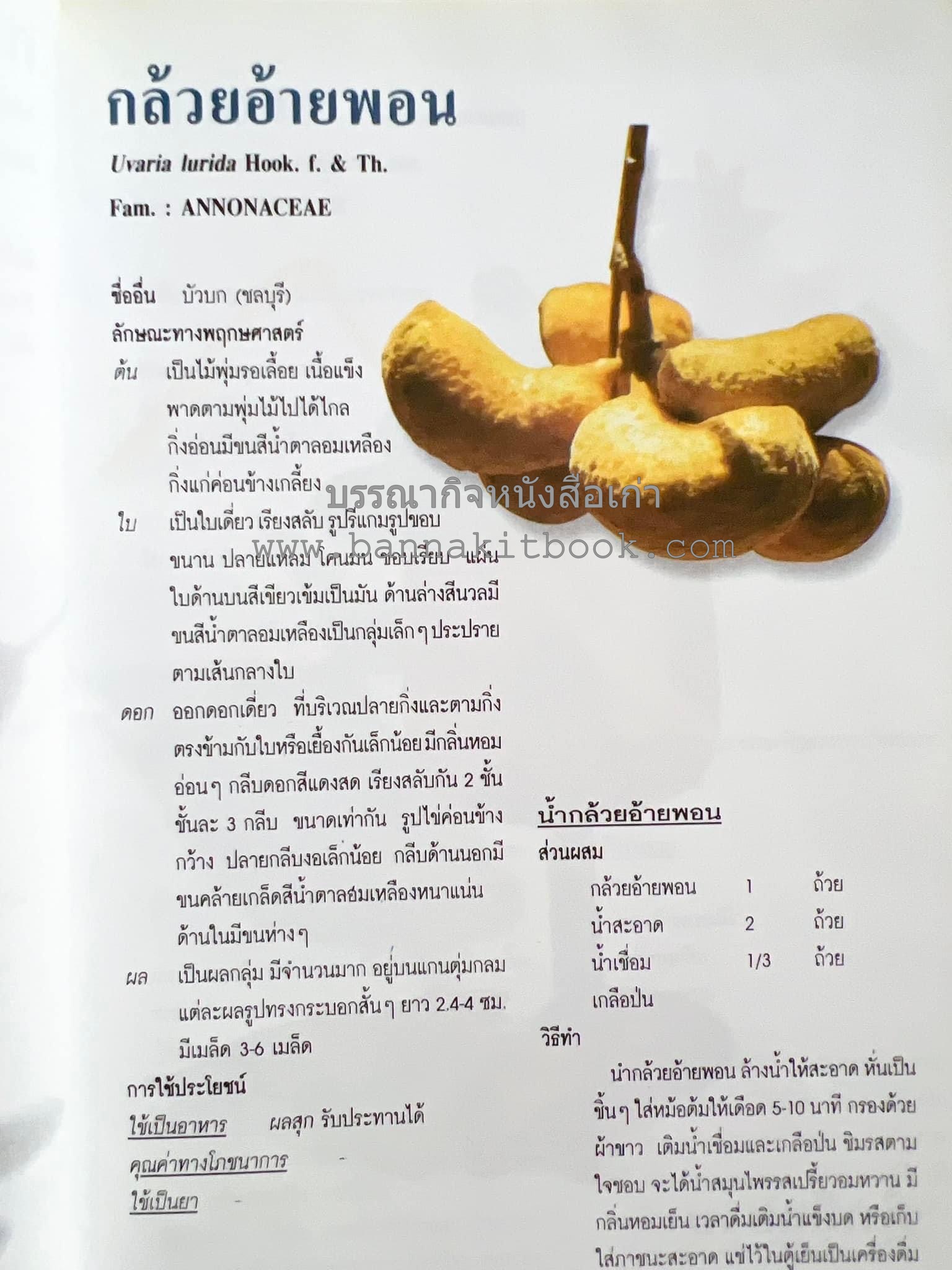 น้ำสมุนไพร 108 สูตร-วิธีทำจากผักพื้นบ้านและผลไม้ไทย โดย สถาบันการแพทย์แผนไทย.