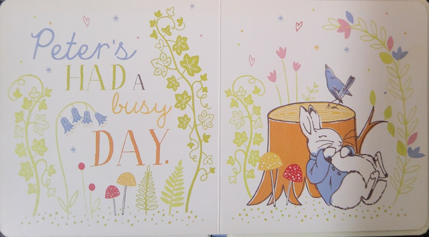 BOARD BOOK** 🍅🍓PETER RABBIT HELLO PETER!