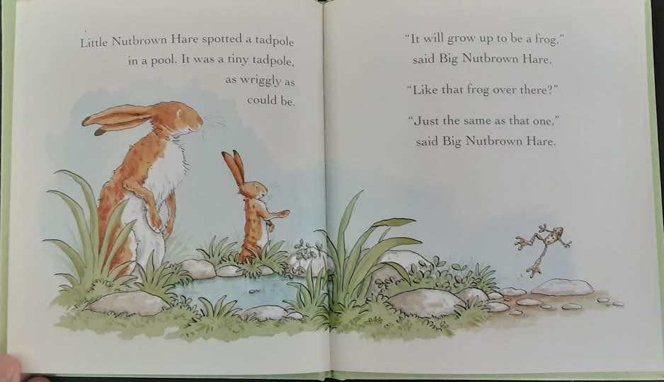 หนังสือนิทานปกแข็ง** 🍅🍓GUESS HOW MYCH I LOVE YOU : SPRING: