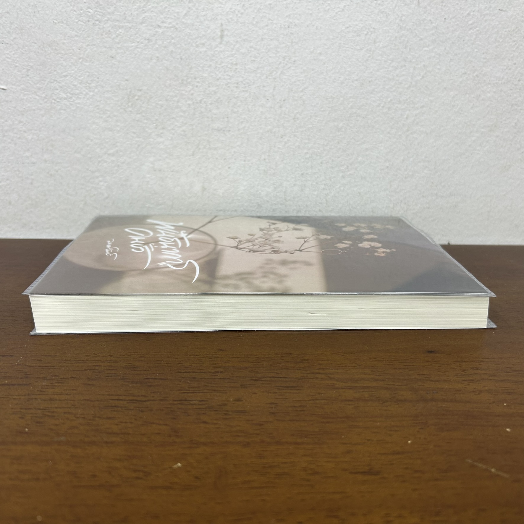 พันธนาการคนชั่ว ... มนต์จันทร์ (มือสอง) นิยาย โรมานซ์ ทำมือ