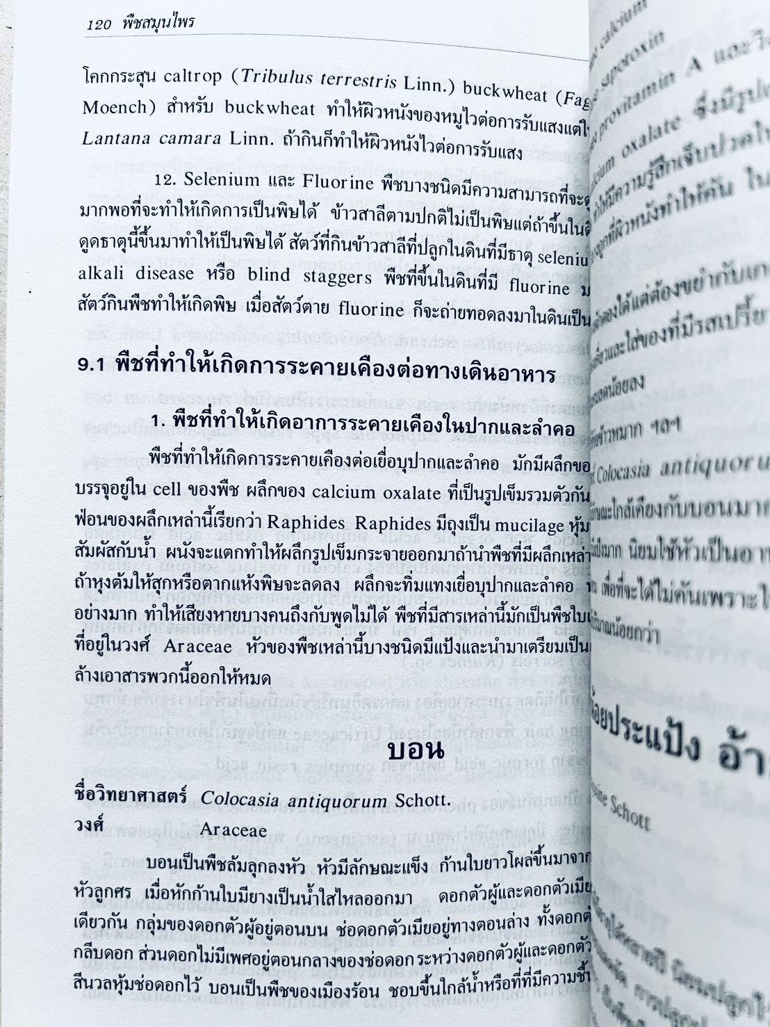 พืชสมุนไพร (ยาสมุนไพรไทย) โดย นิจศิริ เรืองรังษี, พยอม ตันติวัฒน์ คณะเภสัชศาสตร์ จุฬาลงกรณ์มหาวิทยาลัย.
