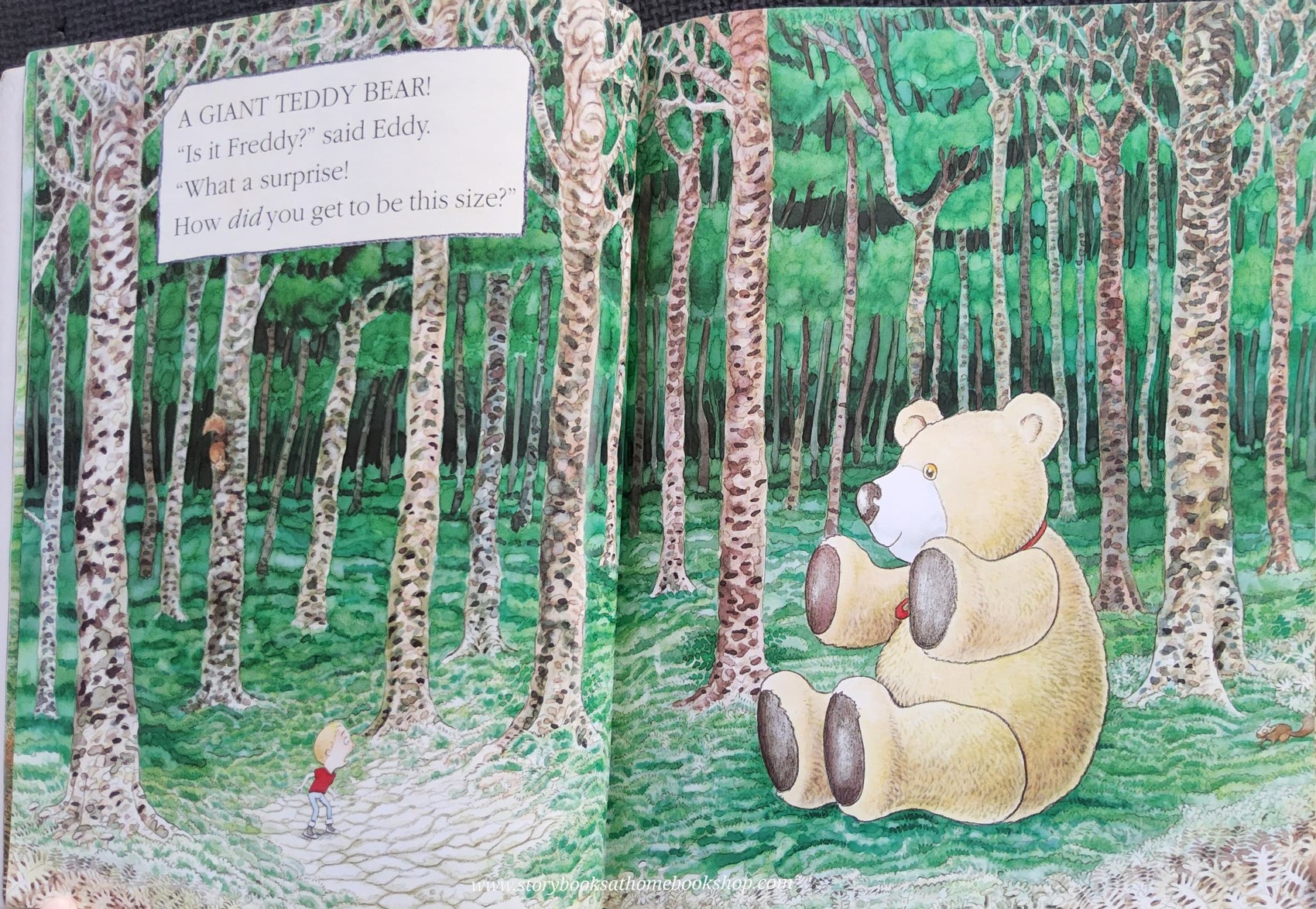 หนังสือนิทานปกอ่อน** 🍅🍓WHERE'S MY TEDDY? BY JEZ ALBOROUGH