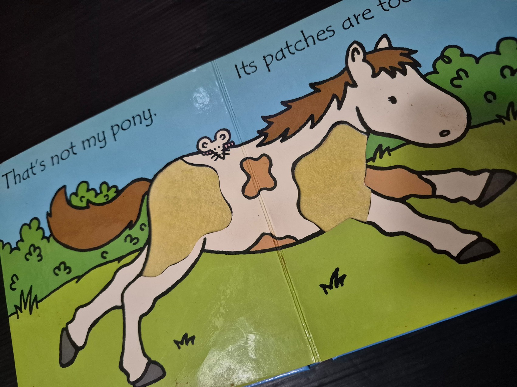 TOUCH AND FEEL BOARD BOOK** 🍅🍅THAT'S NOT MY PONY...