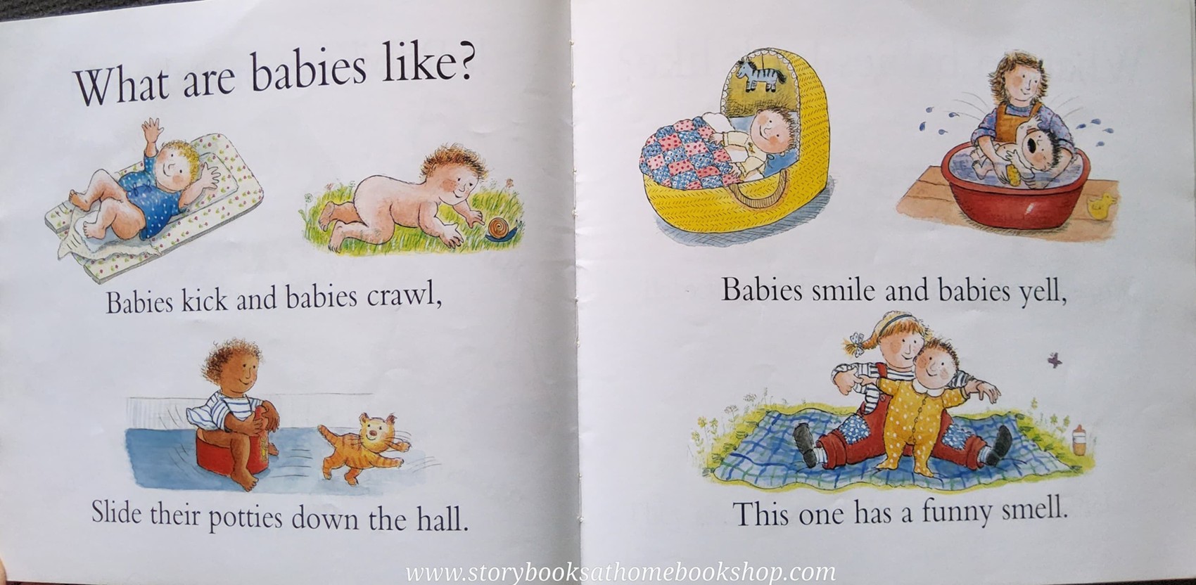 หนังสือนิทานปกอ่อน** 🍅🍓HERE COME THE BABIES♥️♥️