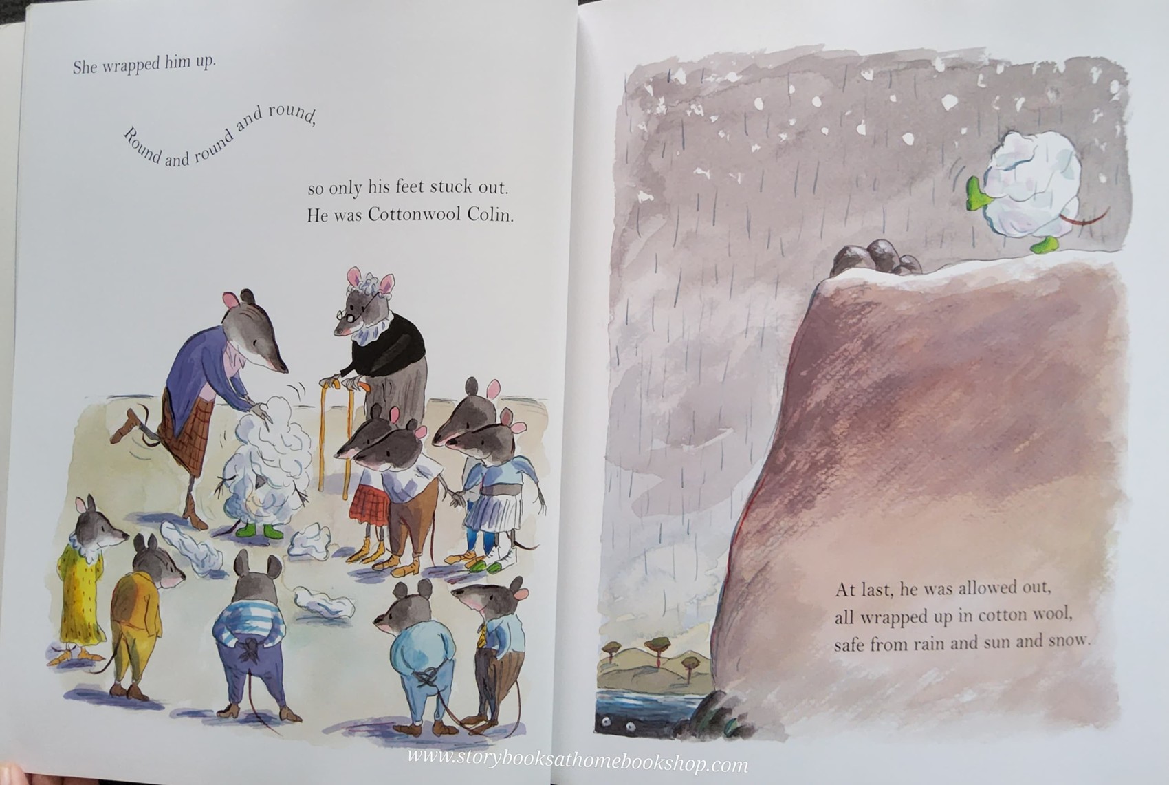 หนังสือนิทานปกอ่อน** 🍅🍅COTTONWOOL COLIN