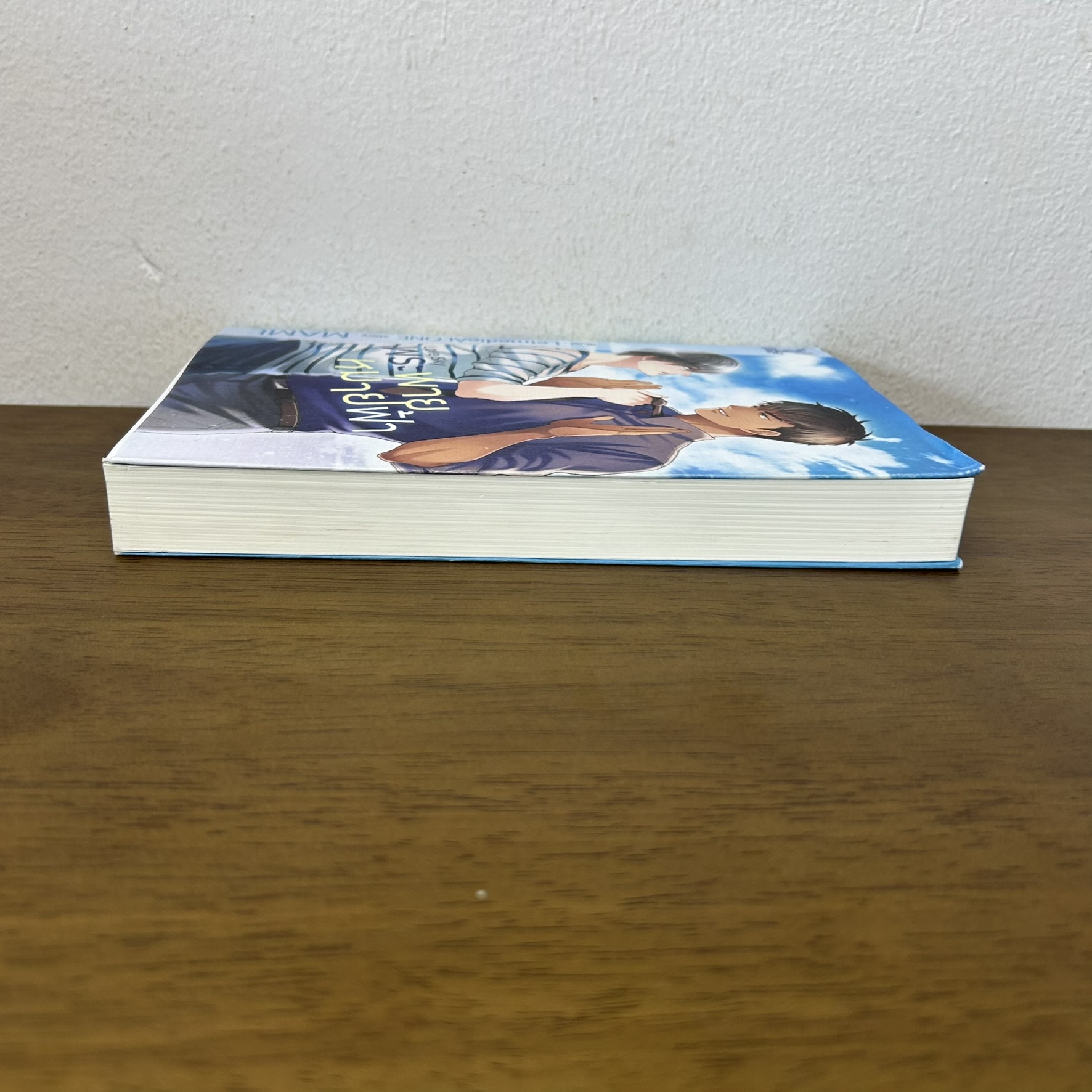 [YAOI] LOVE SKY พระพายหมายฟ้า ... MAME (มือสอง) นิยายวาย DEEP