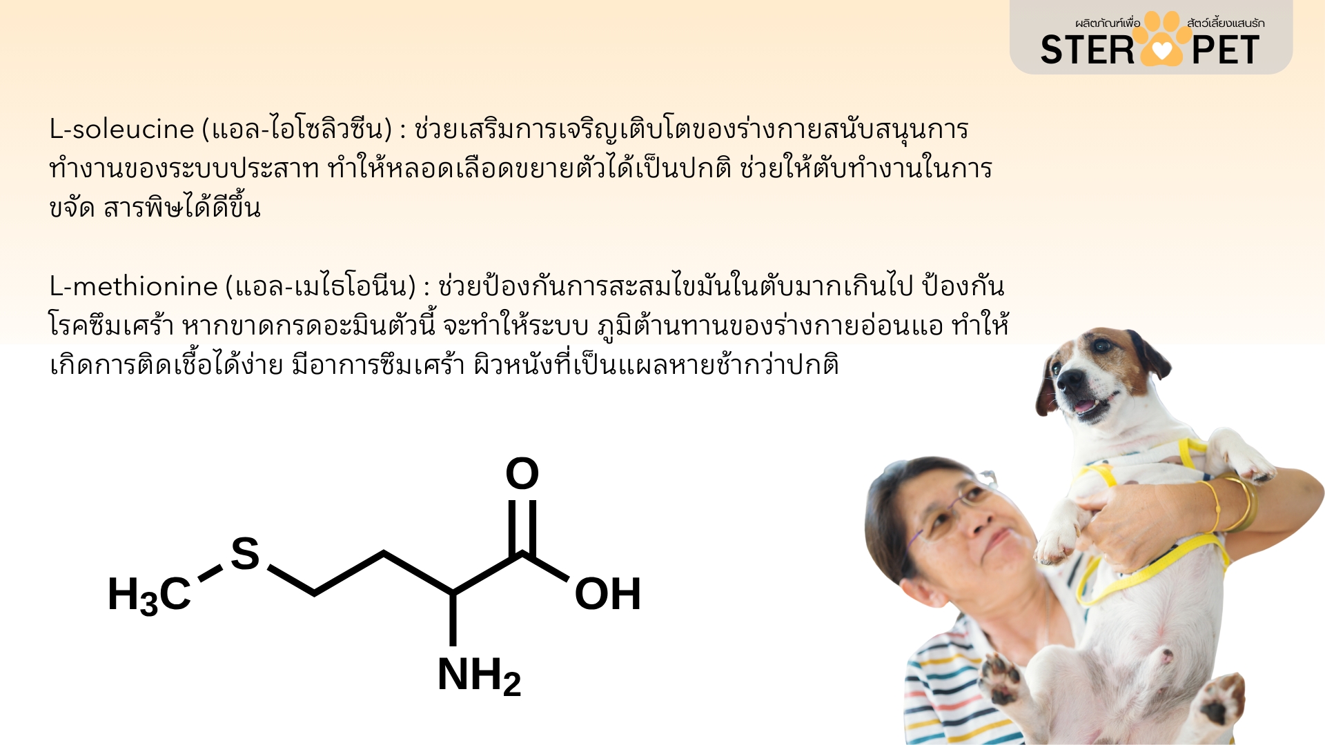 เซตทดลอง สเตอร์ เพ็ท Ster Pet เนื้องอกหมาแมว ก้อนเนื้อหมาแมว มะเร็งสุนัขแมว ลดอักเสบ ลดขนาดก้อนเนื้อ เบื่ออาหาร น้ำหนักลด ไตวายหมาแมว แผลยุบเร็ว ( 15 แคปซูล)