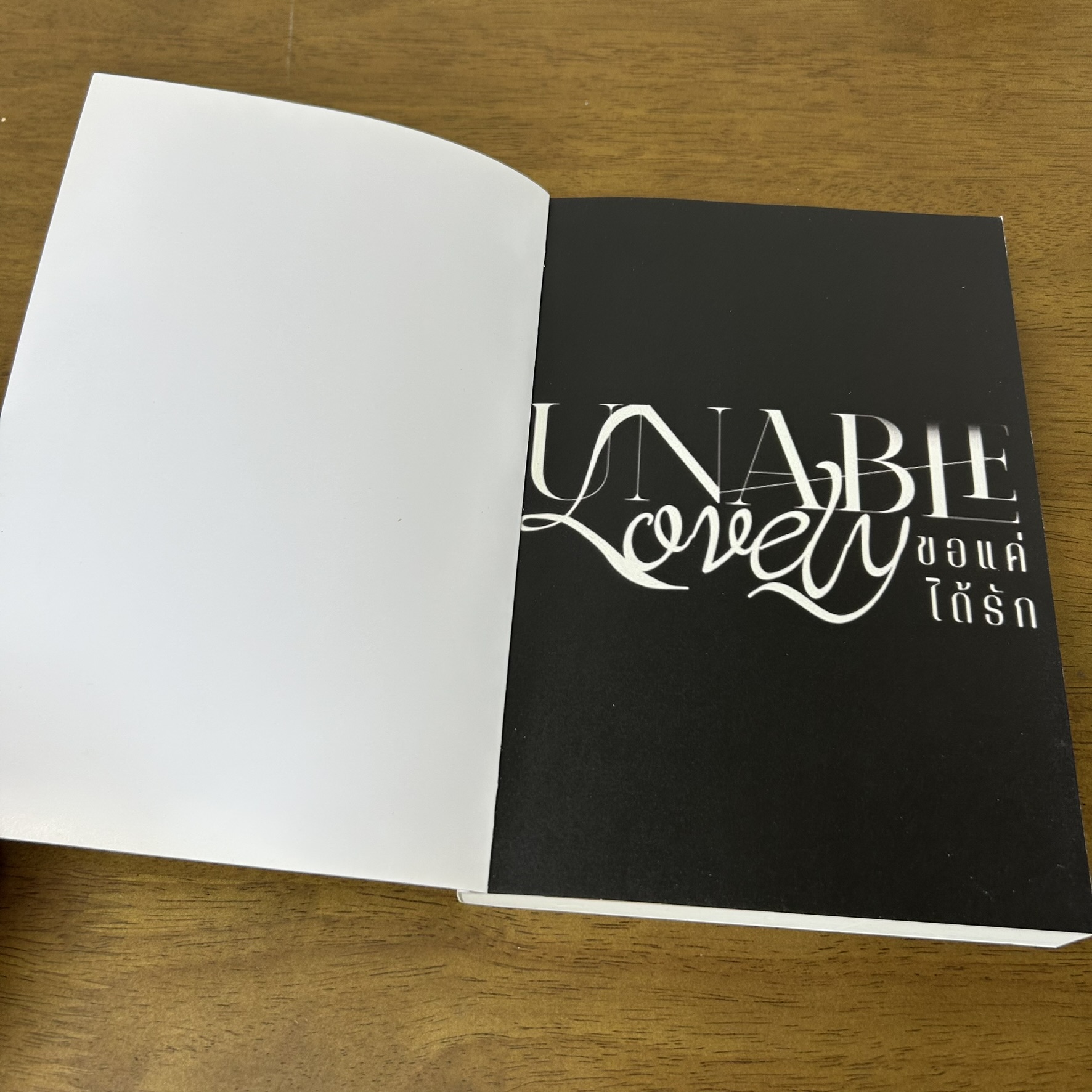 Unable lovely ขอแค่ได้รัก ... LAi LA FuN (มือสอง) นิยาย โรแมนติก ทำมือ