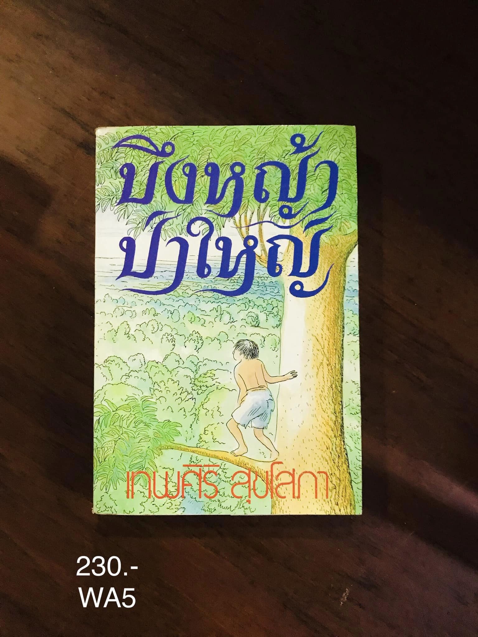บึงหญ้าป่าใหญ่ ผู้เขียน เทพศิริ สุขโสภา สำนักพ์ดวงตา