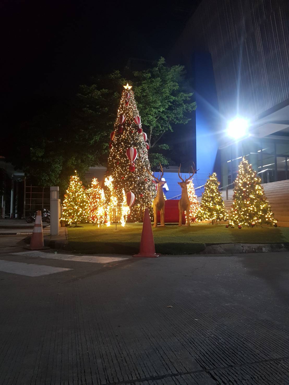 แบบต้นคริสต์มาสปลอมขนาด 8เมตร ตกแต่งพื้นที่โดยรอบด้วยสินค้าคริสต์มาสนานาชนิด