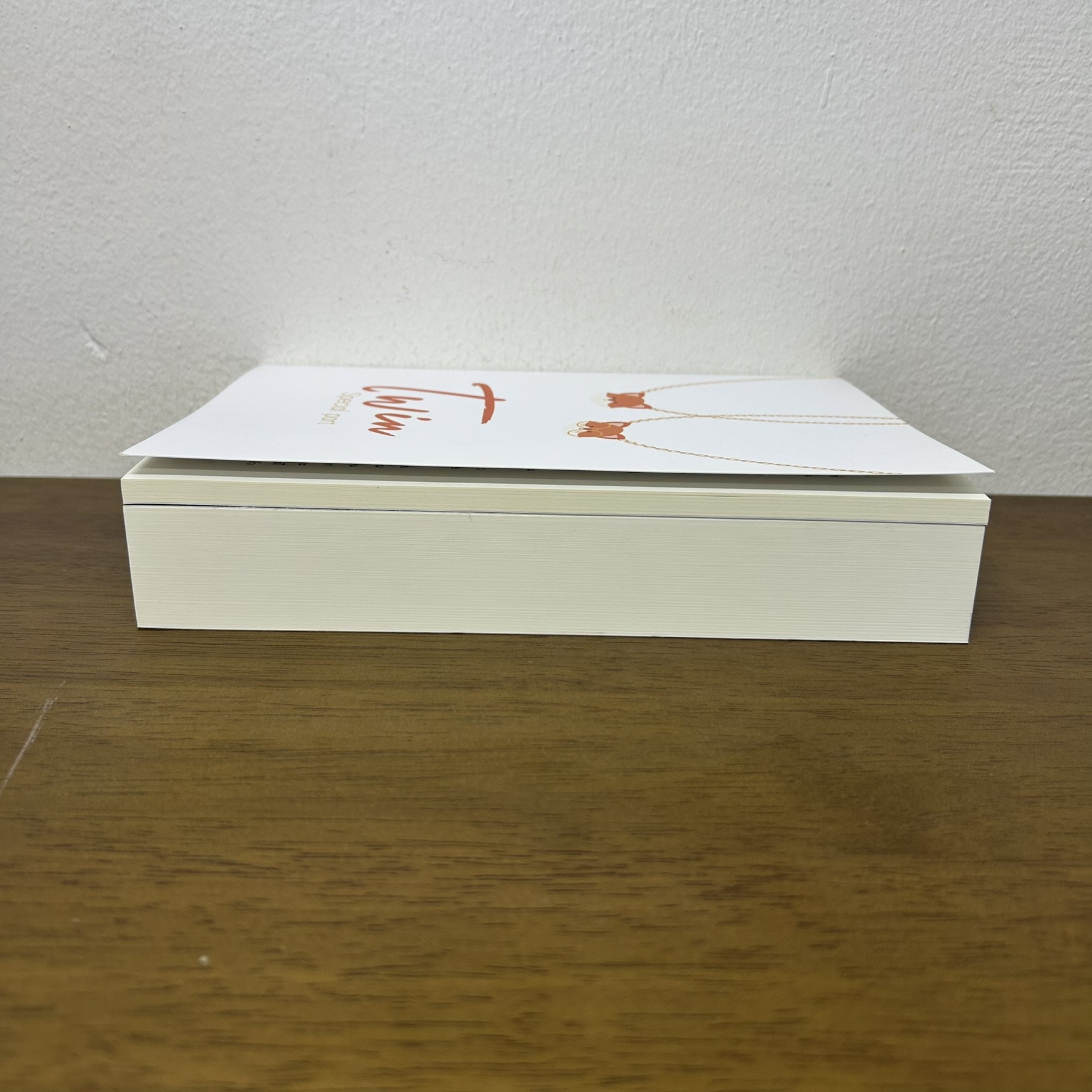 [YAOI] Psychosis! #ป๋อจ้าน+เล่มพิเศษ... พินู่มม (มือสอง) นิยายวาย