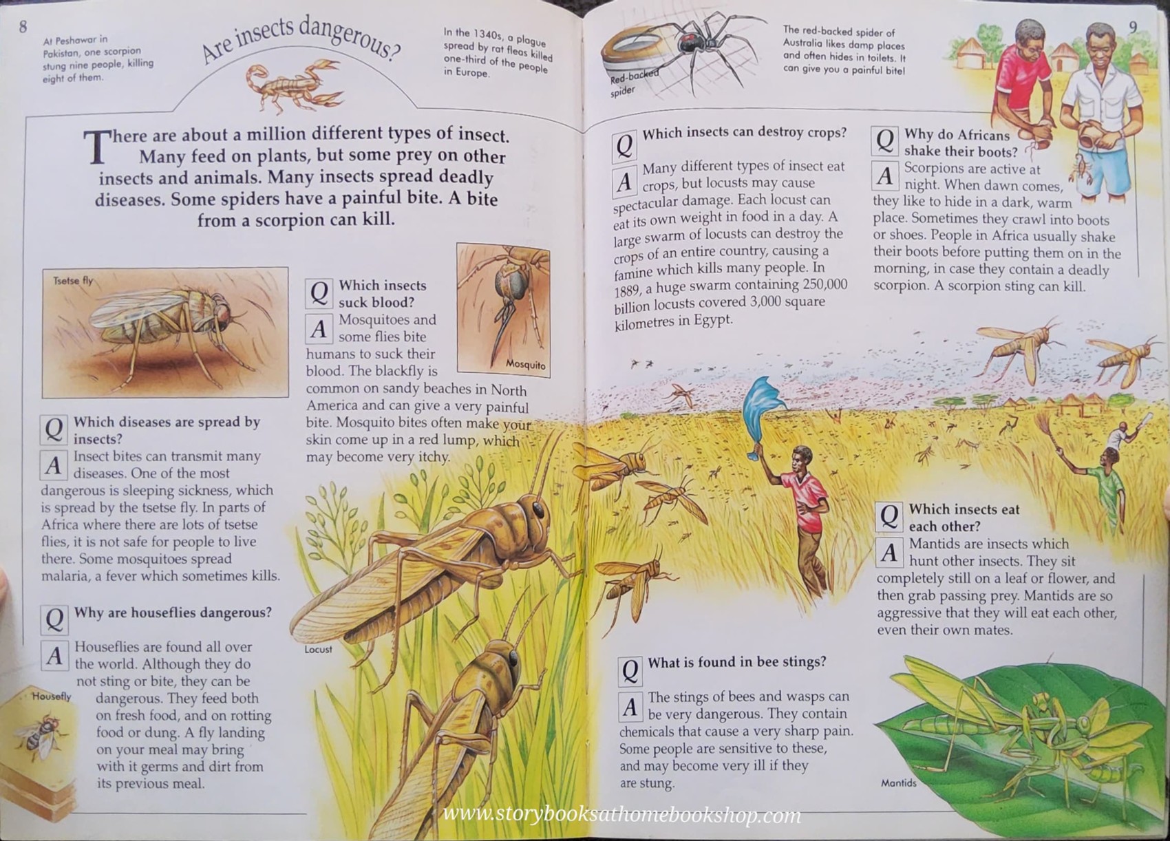 Knowledge Book ** 🍓🍓100 Q&A DANGEROUS AND DEADLY