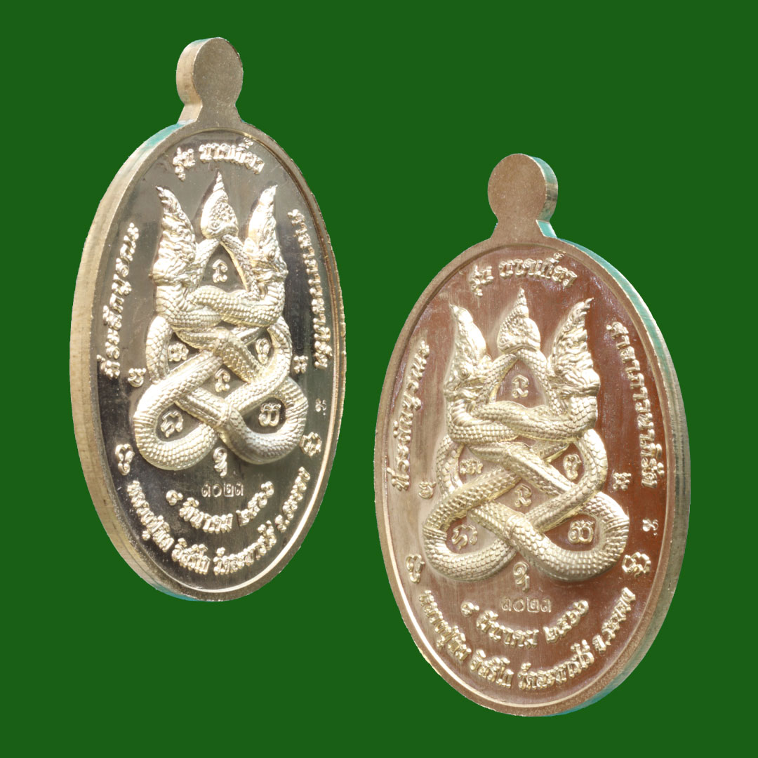 เหรียญนาคเกี้ยว หลวงปู่ทิม วัดระหารไร่ ปี2566 เนื้อทองเหลือง
