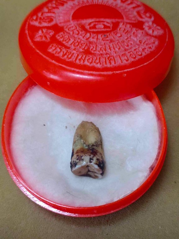 พระทันตธาตุ ครูบาเจ้าเลย วัดป่าบงงาม ต.โป่งงาม อ.แม่สาย จ.เชียงราย เดิมเป็นขอคุณลุงสงวน เคยรับใช้ครูบาเจ้าเลย ขับรถรับส่งครูบาเจ้าไปโรงพยาบาลและสถาน ที่ต่าง ๆ คุณสงวนอยู่บ้านป่าเหมือด อ.แม่สาย จ.เชียงราย ปัจจุบันคุณลุงสงวนเสียชีวิตแล้วตั้งแต่ปี 2558