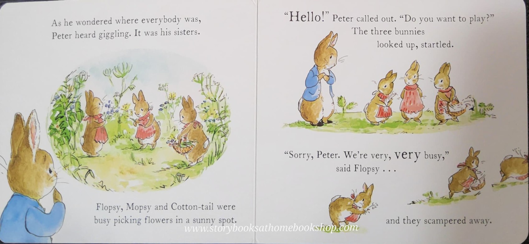 BOARD BOOK** 🍅🍓A PETER RABBIT TALE:HAPPY BIRTHDAY