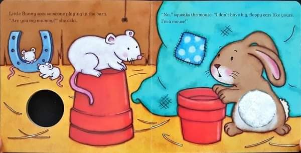 Board Book ** 🍅🍓Are you my Mummy? LITTLE BUNNY