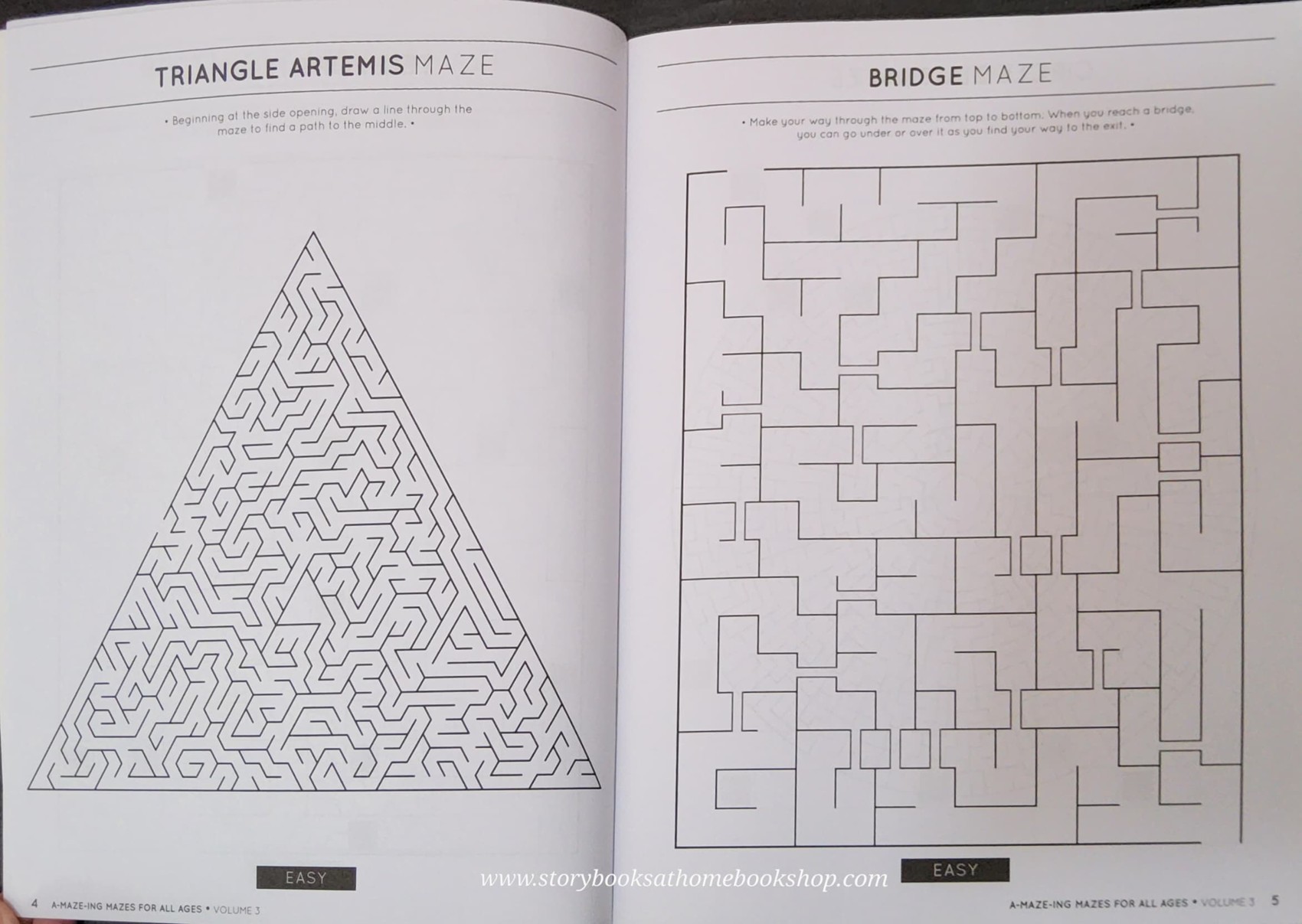 ACTIVITY BOOK** 🍅🍓A MAZE ING MAZES FOR ALL AGES (VOL3-4)