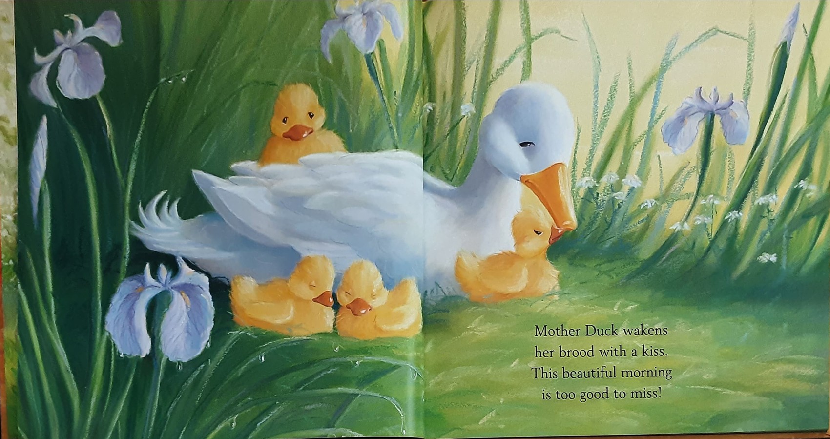 หนังสือนิทานปกแข็ง ** 🍅🍓 ONE MAGICAL DAY