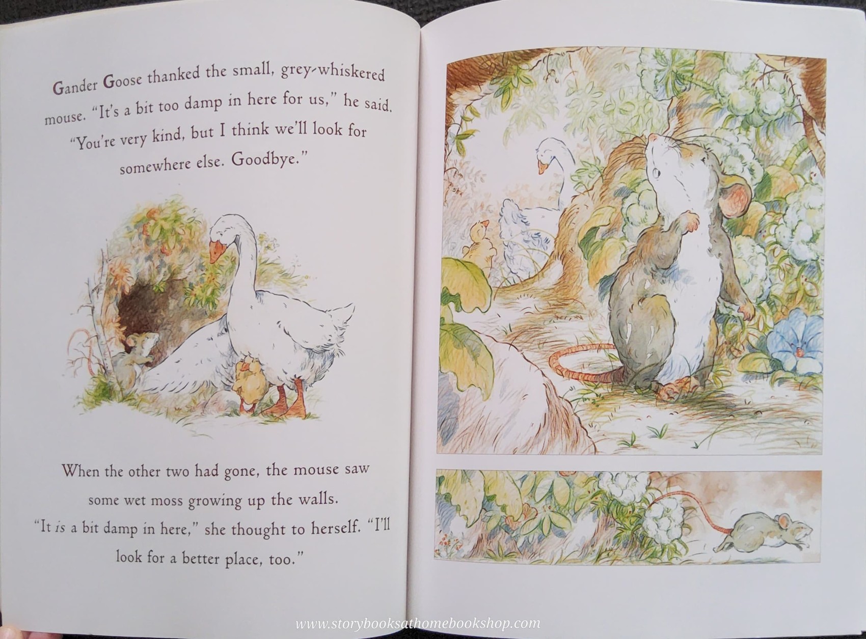 หนังสือนิทานปกอ่อน** 🍅🍅JUST YOU AND ME BY SAM MCBRATANEY