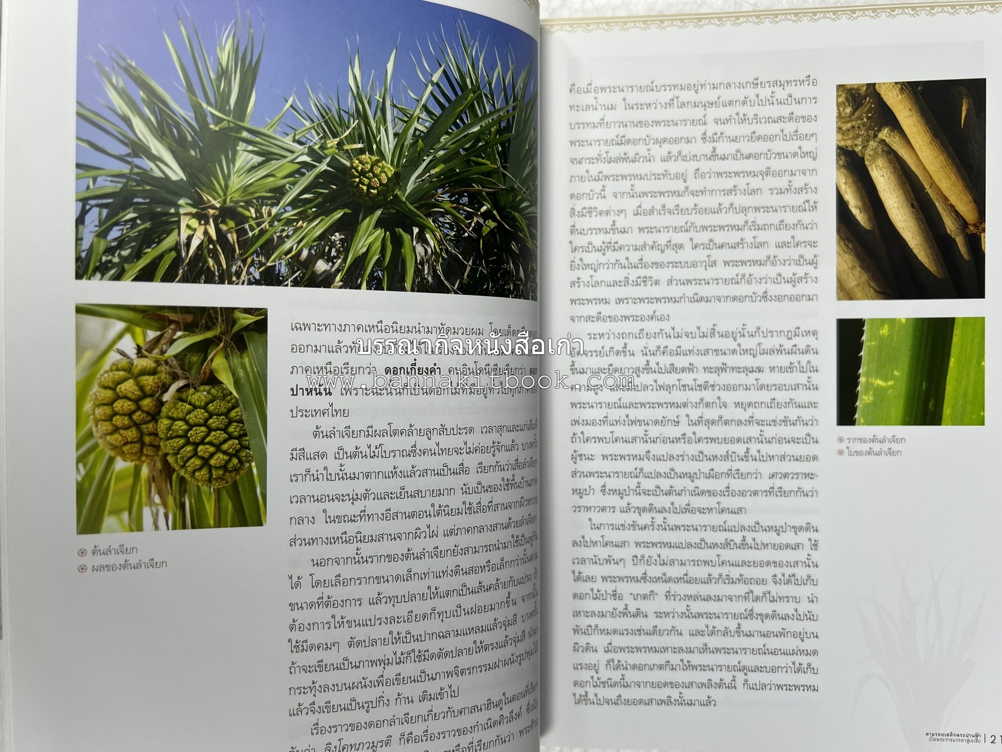 ตามรอยเสด็จพระผ่านฟ้า เปิดพระราชมรรคาสู่เอเชีย โดย : นายทองพับ (เผ่าทอง ทองเจือ).