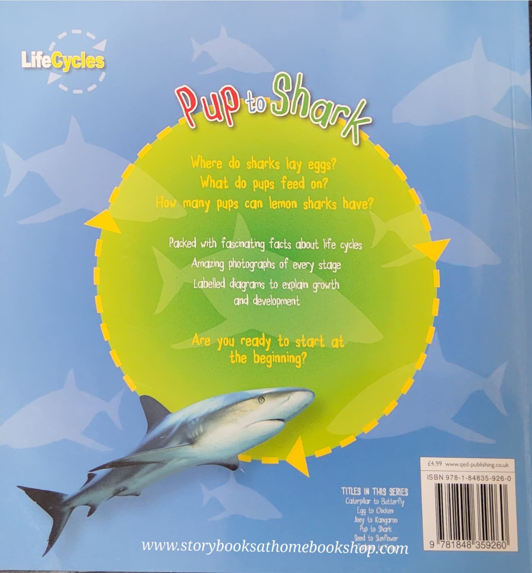 KNOWLEDGE BOOK** ♥️LIFECYCLE: PUP TO SHARK