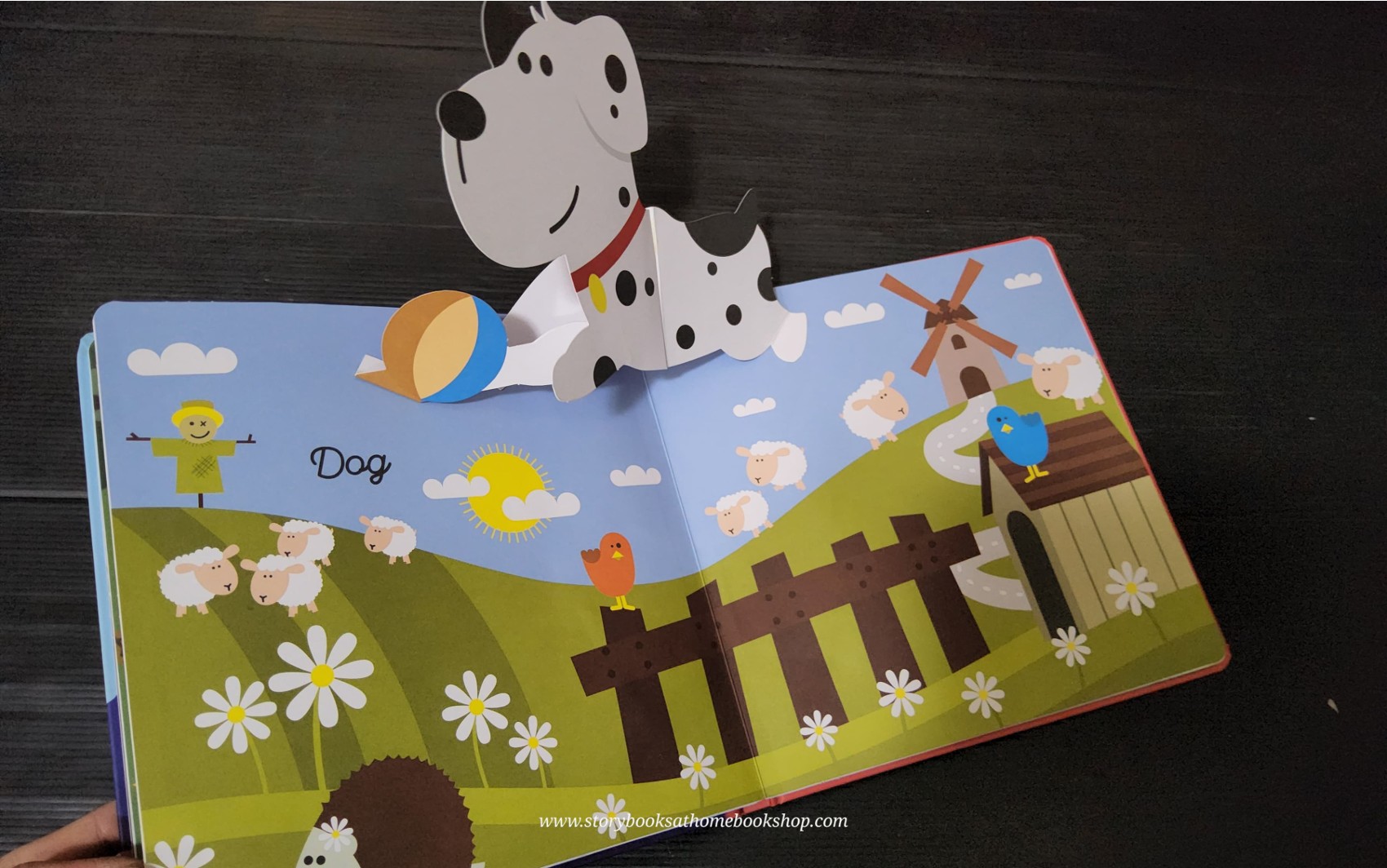 POP-UP BOOK** 🍅🍓MY ANIMAL POP-UP BOOK