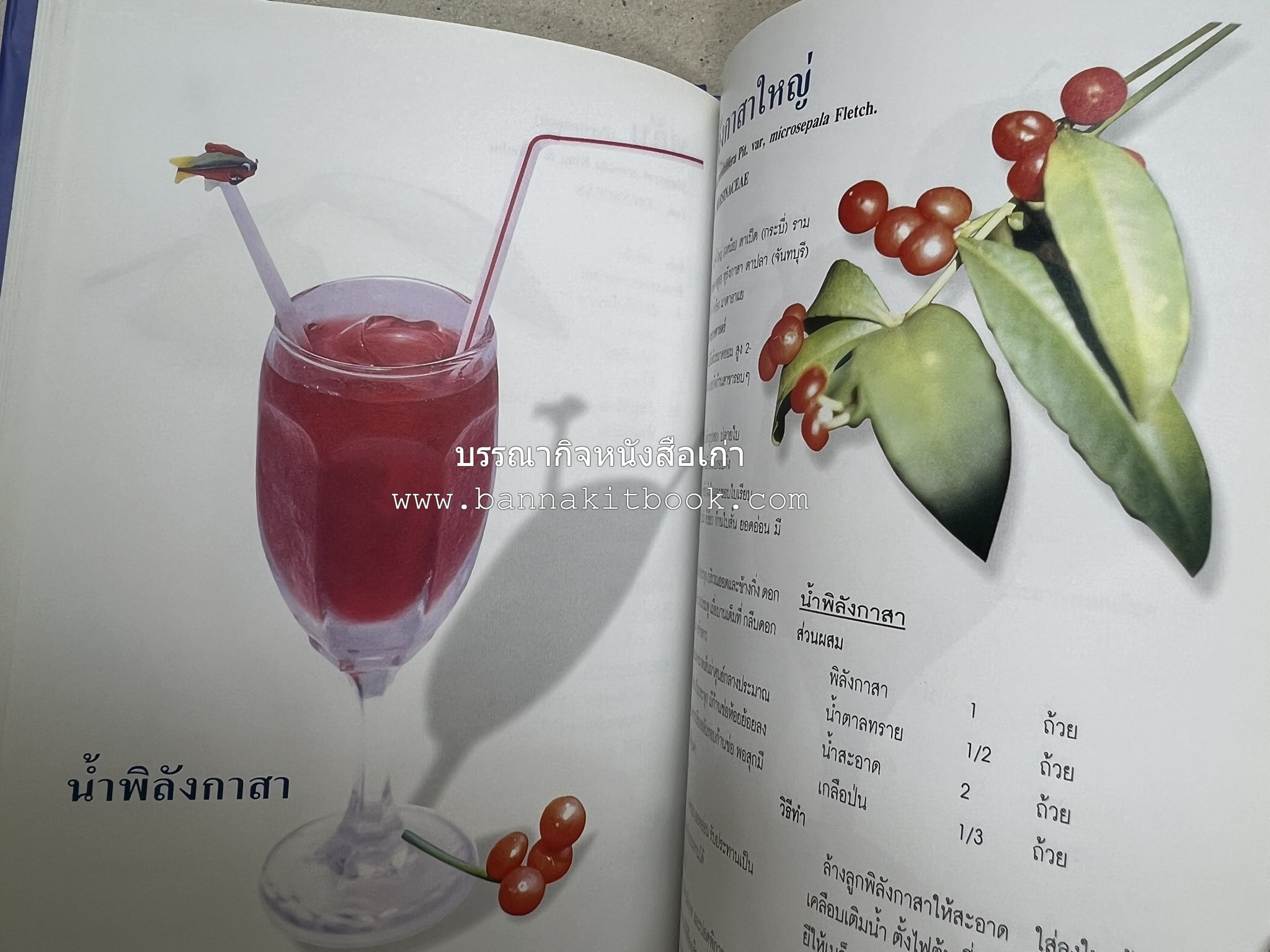 น้ำสมุนไพร 108 สูตร-วิธีทำจากผักพื้นบ้านและผลไม้ไทย โดย สถาบันการแพทย์แผนไทย.