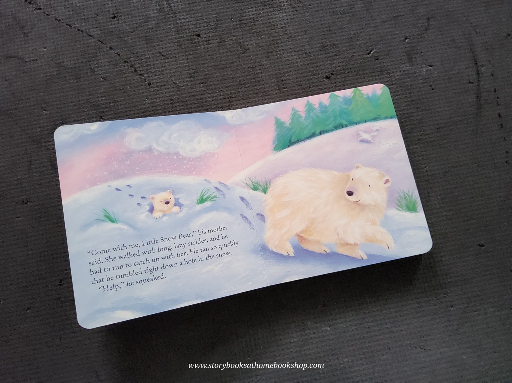 BOARD BOOK** 🍅🍓THE BIGGEST THING IN THE WORLD